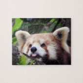 Puzzle Panda rouge (Horizontal)