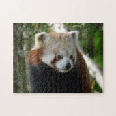 Puzzle panda rouge (Horizontal)