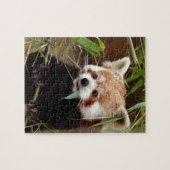 Puzzle Panda rouge (Horizontal)