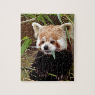 Puzzle Panda rouge