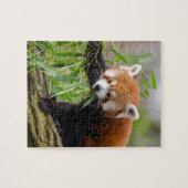 Puzzle Panda Rouge Manger Feuille verte (Horizontal)