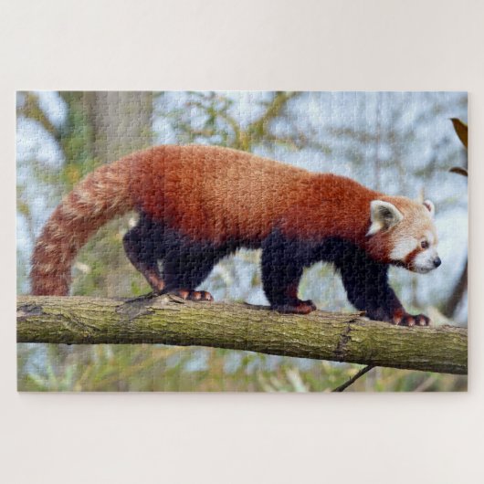 Puzzle Panda rouge marchant sur la branche (Horizontal)