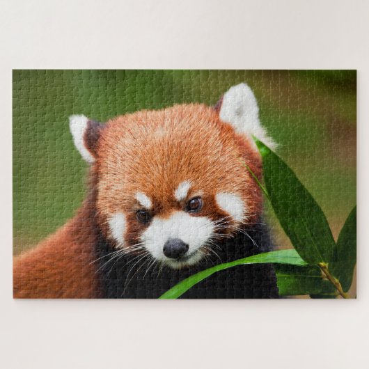 Puzzle Panda rouge mignonne (Horizontal)