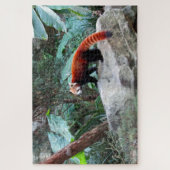 Puzzle panda roux (Vertical)