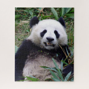 Puzzle Panda sourit en mangeant du bambou (puzzle)
