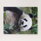 Puzzle Panda sourit en mangeant du bambou (puzzle) (Horizontal)