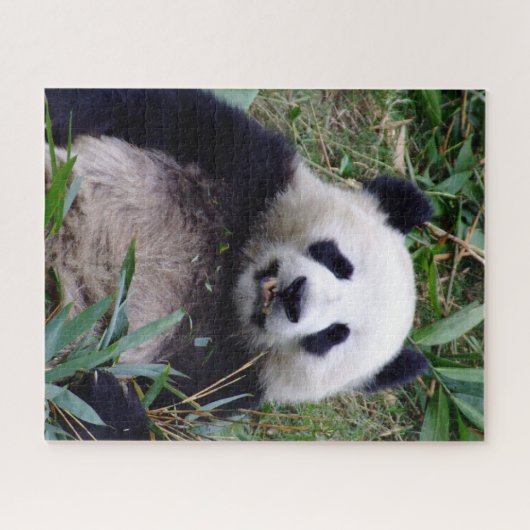 Puzzle Panda sourit en mangeant du bambou (puzzle) (Horizontal)