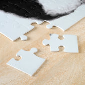 Puzzle Pandas - Pandémie - Big Hugues - Collection de des (Côté)