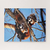 Puzzle pandas rouges (Horizontal)