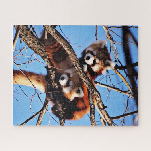 Puzzle pandas rouges (Horizontal)