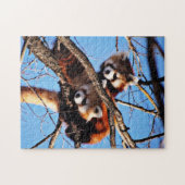 Puzzle pandas rouges (Horizontal)