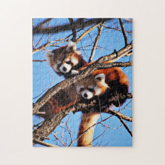 Puzzle pandas rouges