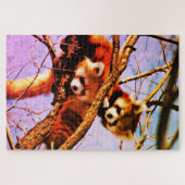 Puzzle pandas rouges (Horizontal)
