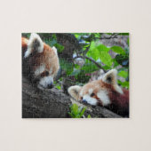 Puzzle Pandas rouges (Horizontal)
