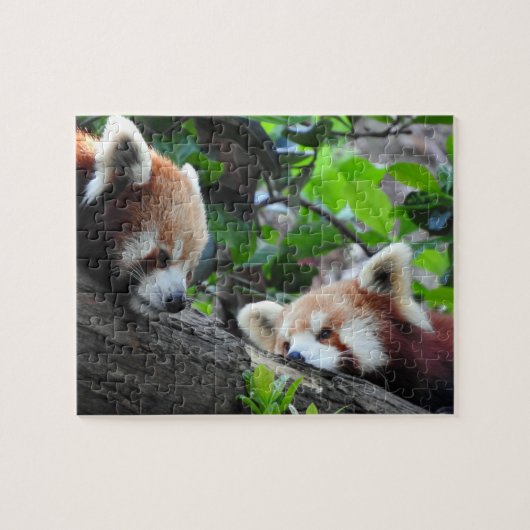 Puzzle Pandas rouges (Horizontal)