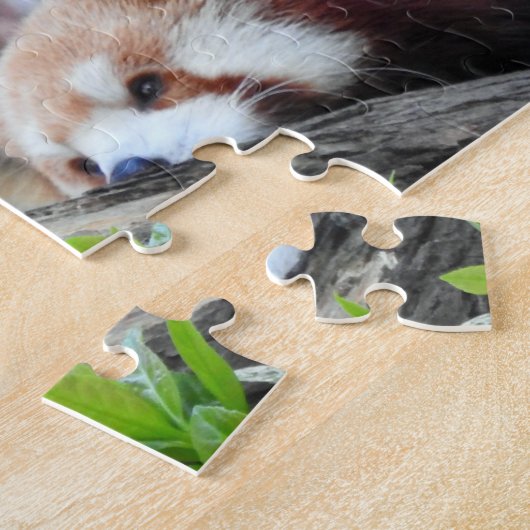 Puzzle Pandas rouges (Côté)