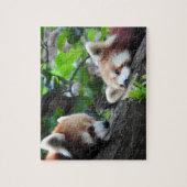 Puzzle Pandas rouges (Vertical)
