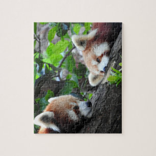 Puzzle Pandas rouges