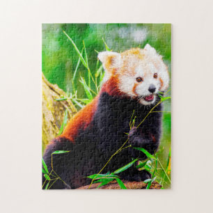 Puzzle Pandas roux.