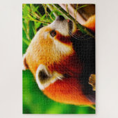Puzzle Pandas roux. (Vertical)