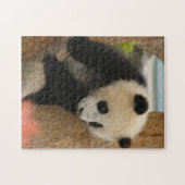 Puzzle PandaSD009 (Horizontal)