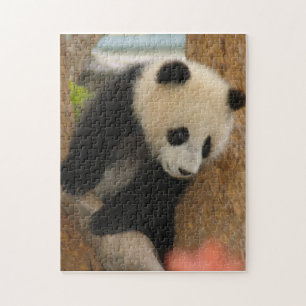 Puzzle PandaSD009