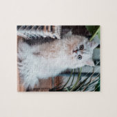 Puzzle Panier Brown en fourrure Perse Chinchilla Argent (Horizontal)