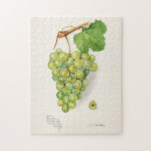 Puzzle Panier de raisins verts Aquarelle de fruits