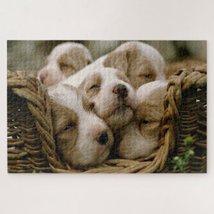Puzzle Panier en osier rempli de chiots qui dorment