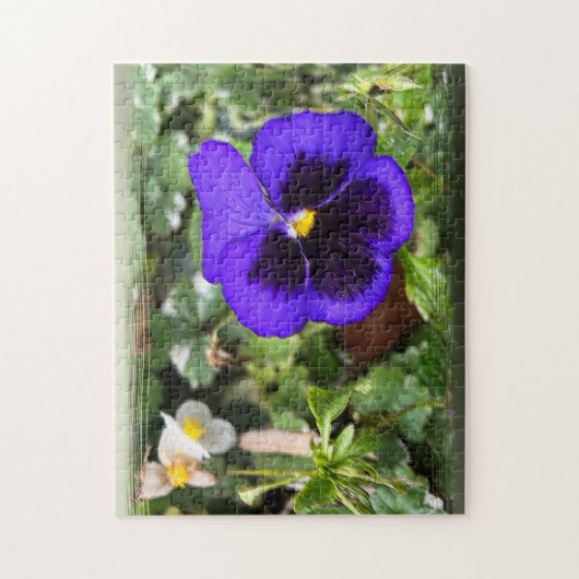 Puzzle Pansement pourpre (Vertical)