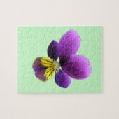 Puzzle Pansy (Horizontal)