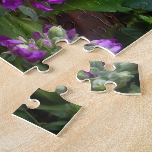 Puzzle Pansy et ses amis (Côté)