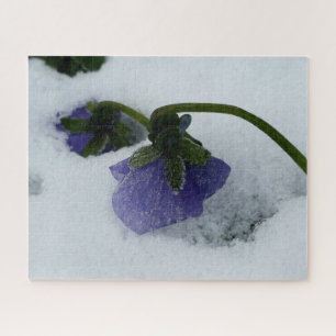 Puzzle Pansy violet sur la neige