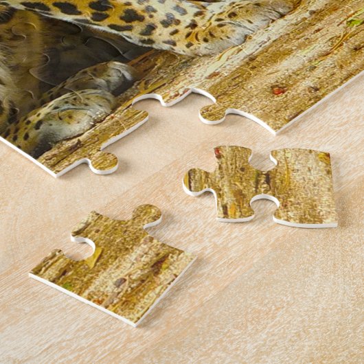 Puzzle Panthers du Sri Lanka. (Côté)