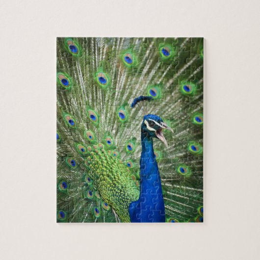 Puzzle Paon criard (Vertical)