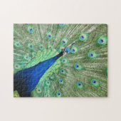 Puzzle - Paon déployant les plumes de la queue (Horizontal)