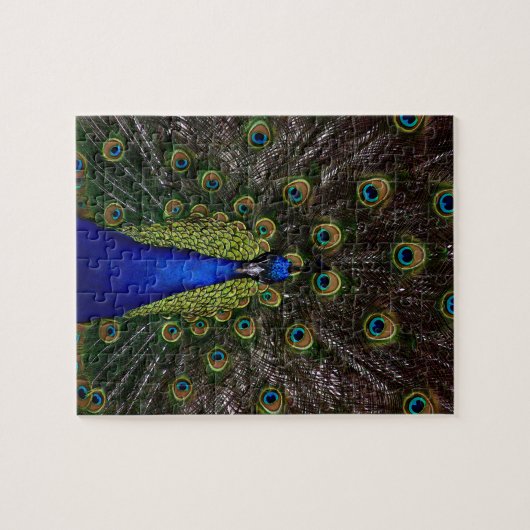 Puzzle Paon splendide (Horizontal)