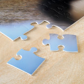 Puzzle Paparazzi chez Fubby au programme. (Côté)