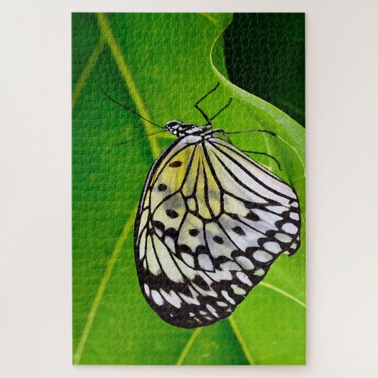 Puzzle Papier papillon Kite. (Vertical)