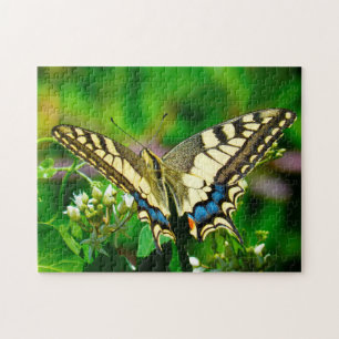 Puzzle Papilio Machaon Papillon.
