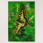Puzzle Papilio Papilio papillon Machaon. (Vertical)