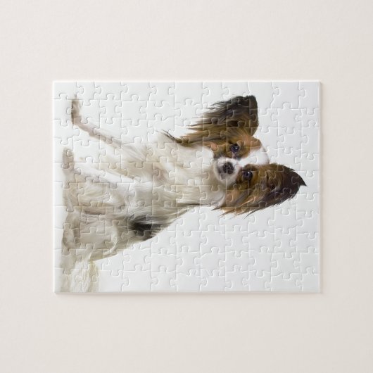 Puzzle Papillon (Horizontal)