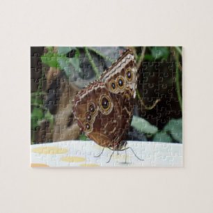 Puzzle papillon