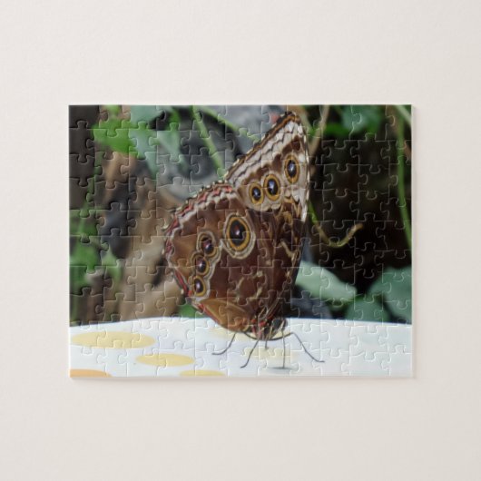 Puzzle papillon (Horizontal)