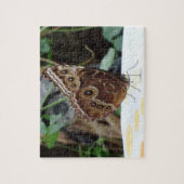 Puzzle papillon (Vertical)