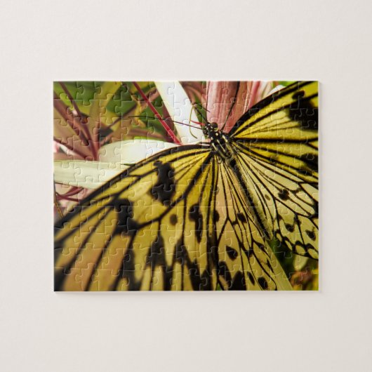 Puzzle papillon (Horizontal)