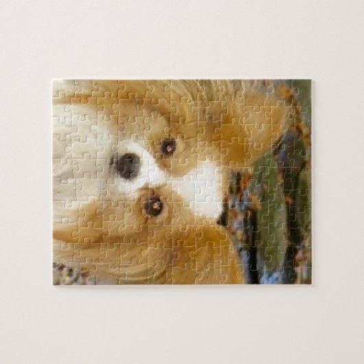 Puzzle Papillon (Horizontal)