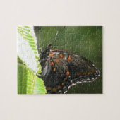 puzzle papillon (Horizontal)