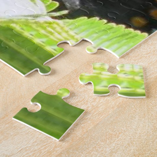 puzzle papillon (Côté)