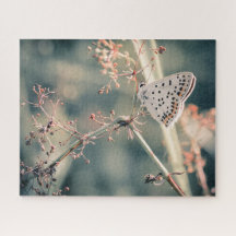 Puzzle Papillon 520 stuks